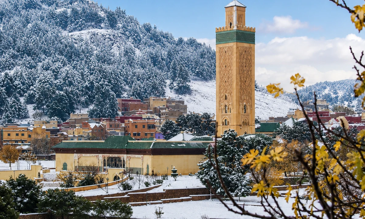 Middle Atlas cedar route — Atlas, Interior and Mountain Morocco