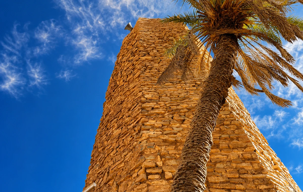 Date Palms And Tower