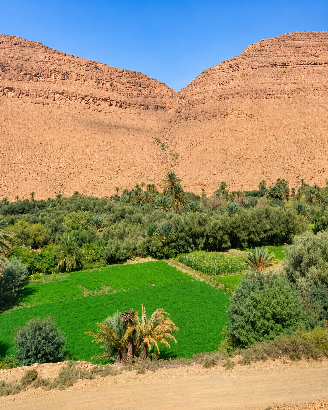 Figuig — Oasis & Eastern Routes — Ziz Valley
