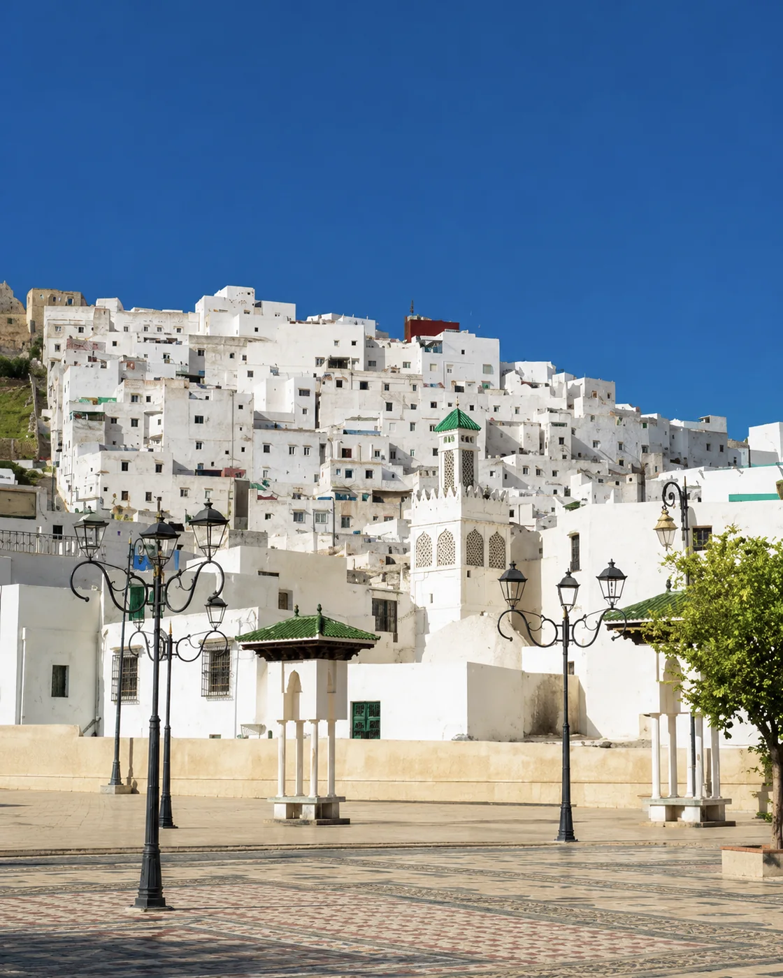White Medina