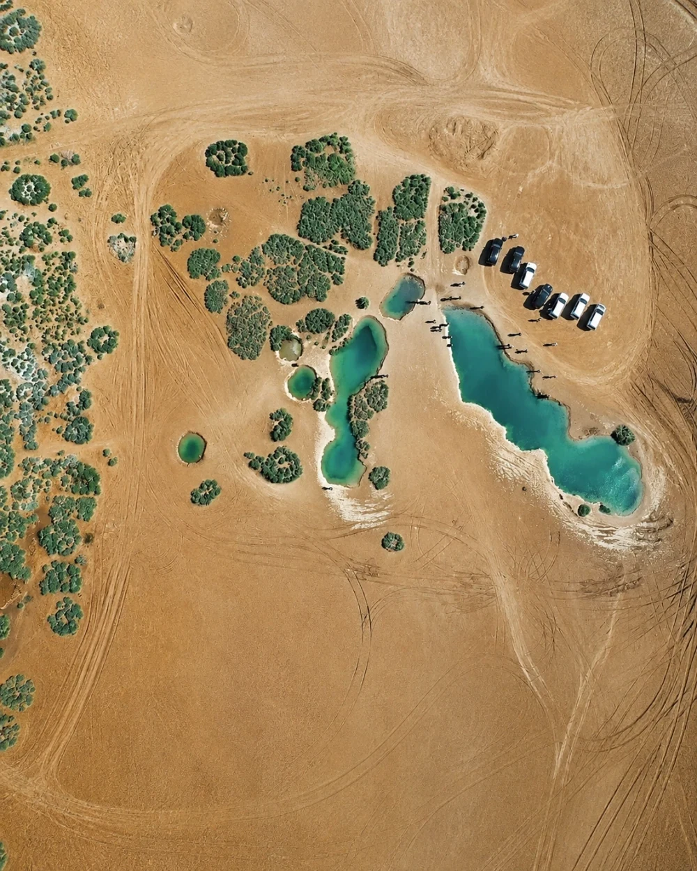 Editorial illustration from the existing Dakhla guide: small turquoise desert pools seen from above