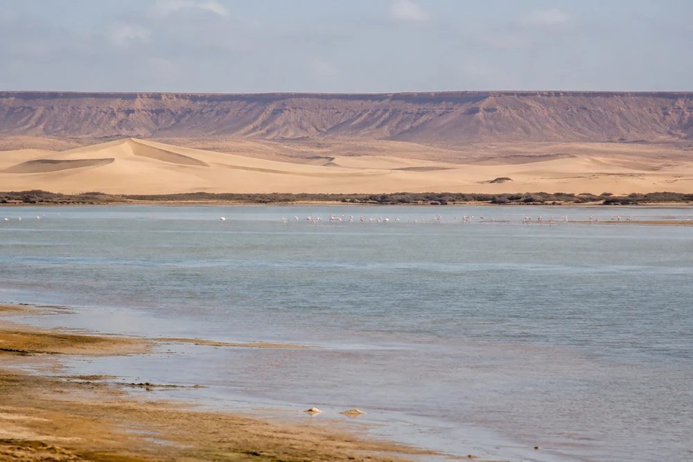 Naïla Lagoon with dunes and distant waterbirds in Khnifiss National Park