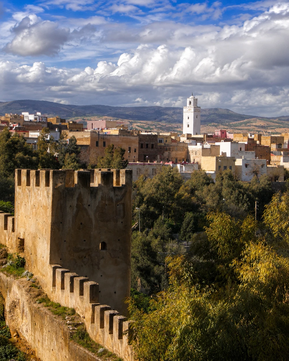 Historic fortifications and cityscape of Taza