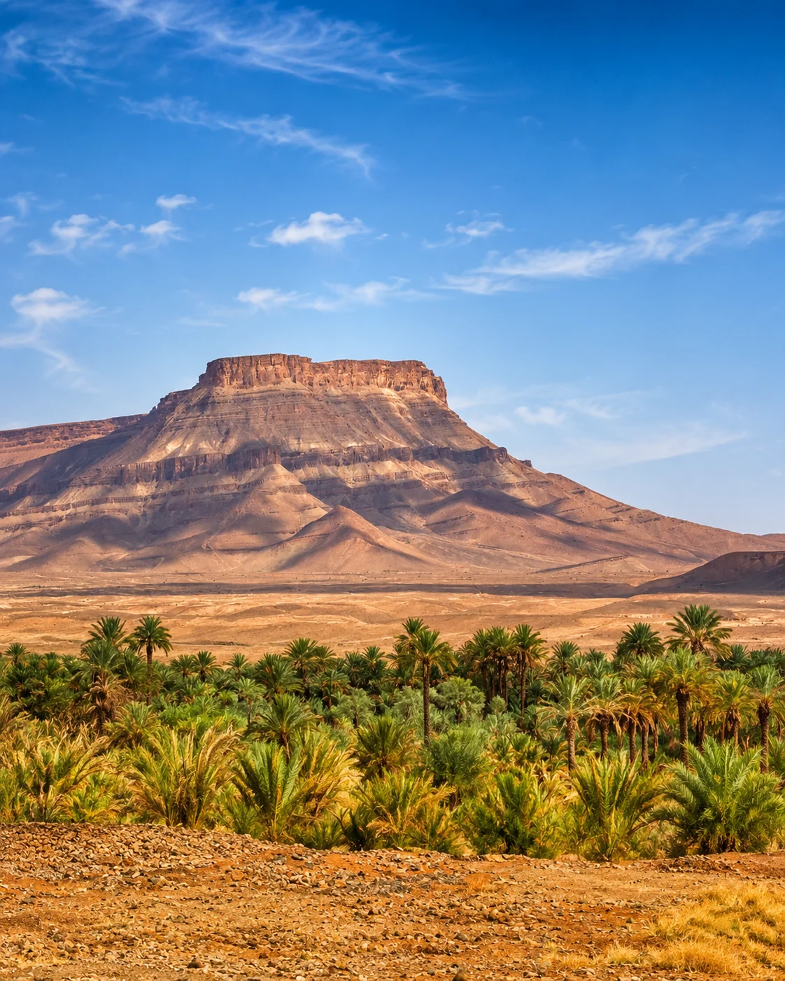 Zagora — Drâa Gateway &amp; Caravan Memory — Tamgroute