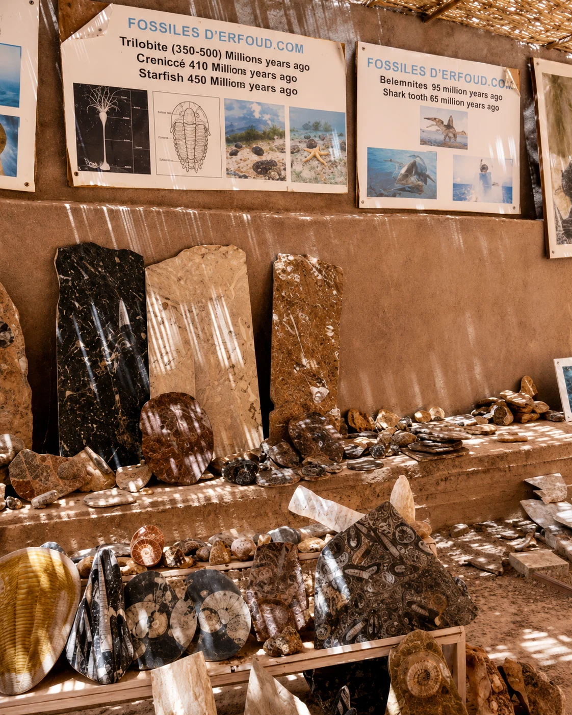 Erfoud — Dates, Fossils &amp; Tafilalet Gateway — Fossil workshops