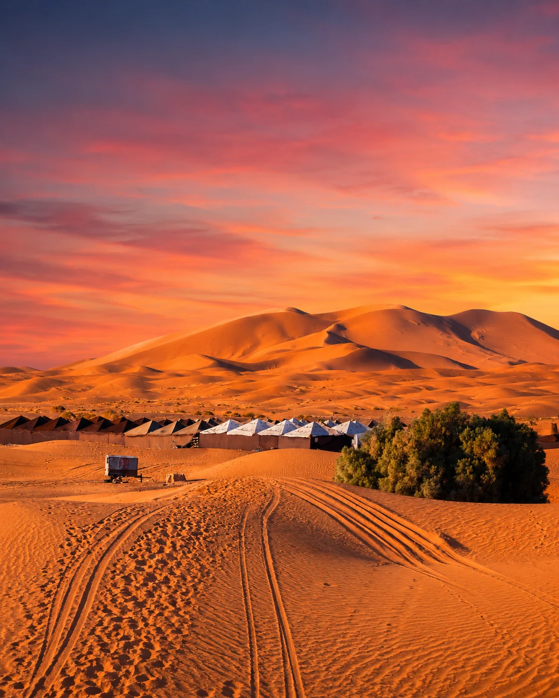 Oases & Dunes