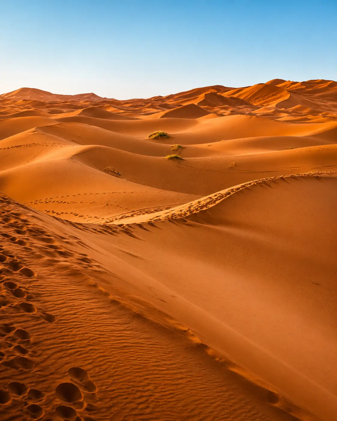 Southern Morocco route detail image — Sahara dune ridges