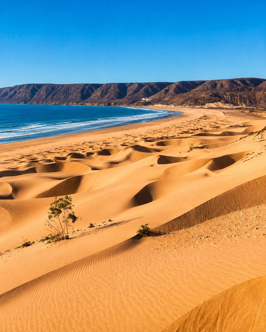 Cap Sim dunes and ocean landscape near Essaouira, Morocco
