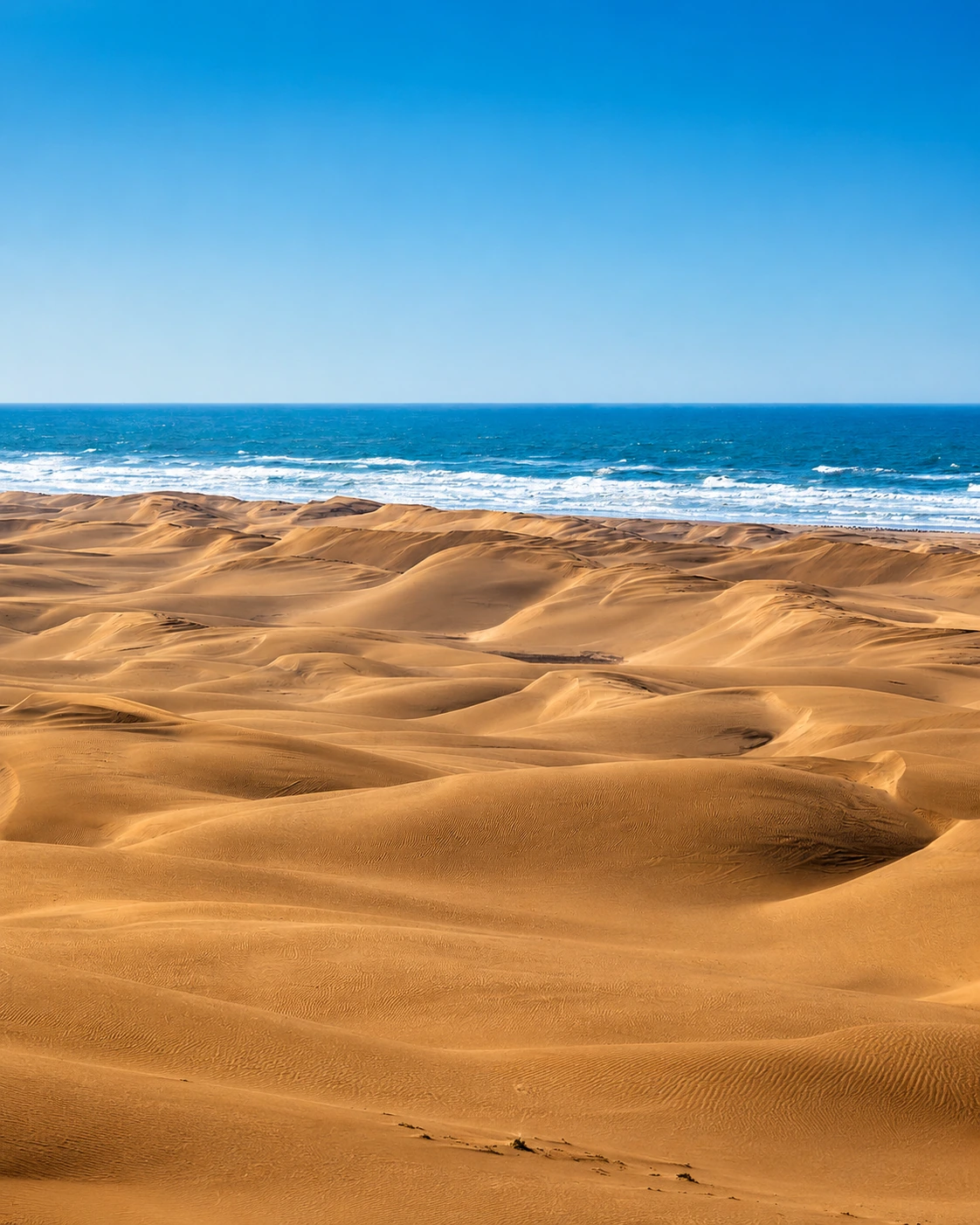 Plage Blanche wild sand dunes and Atlantic shoreline in Morocco