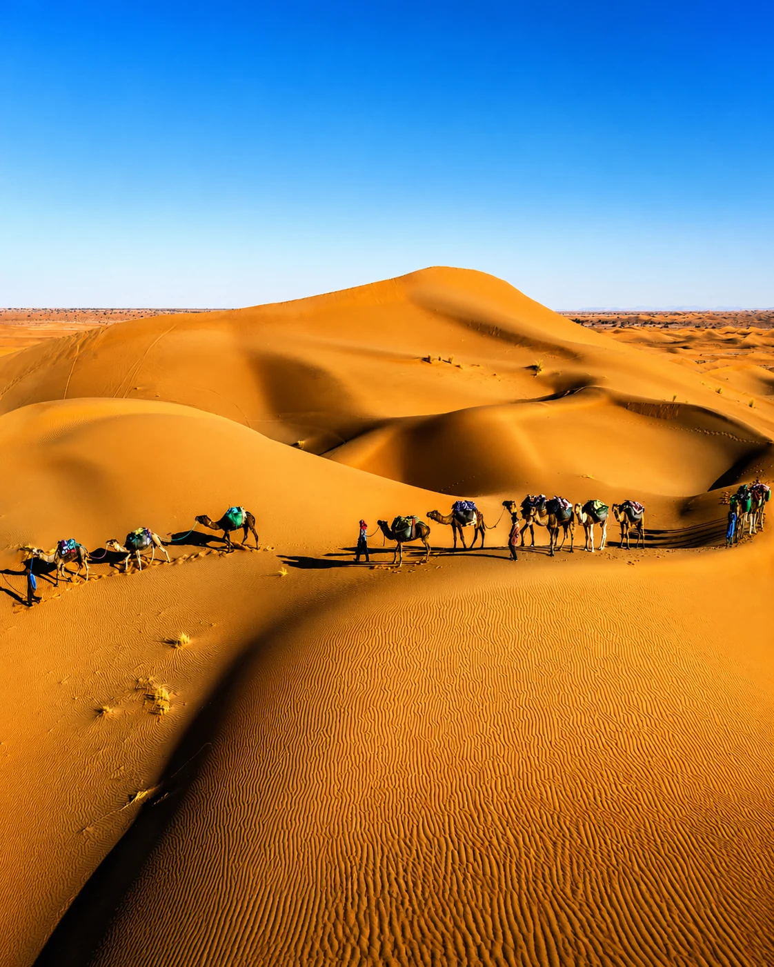 Erg Chigaga dunes and camel caravan in the Moroccan Sahara