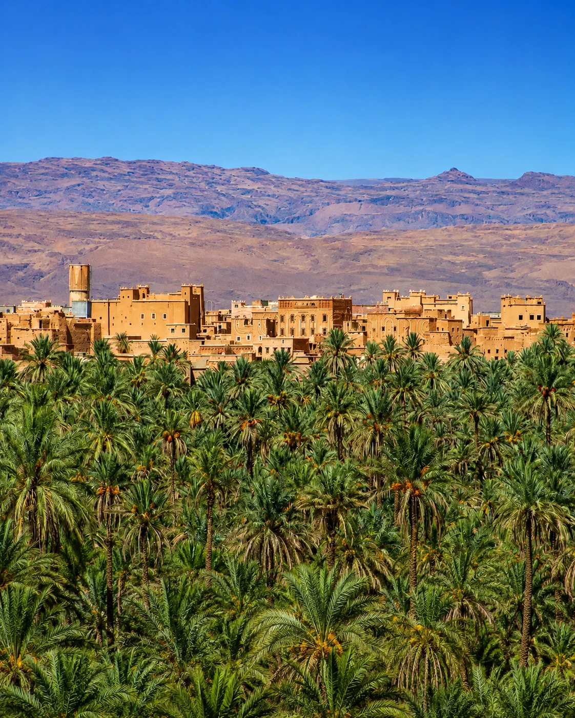 Zagora Palm Grove and desert oasis settlement