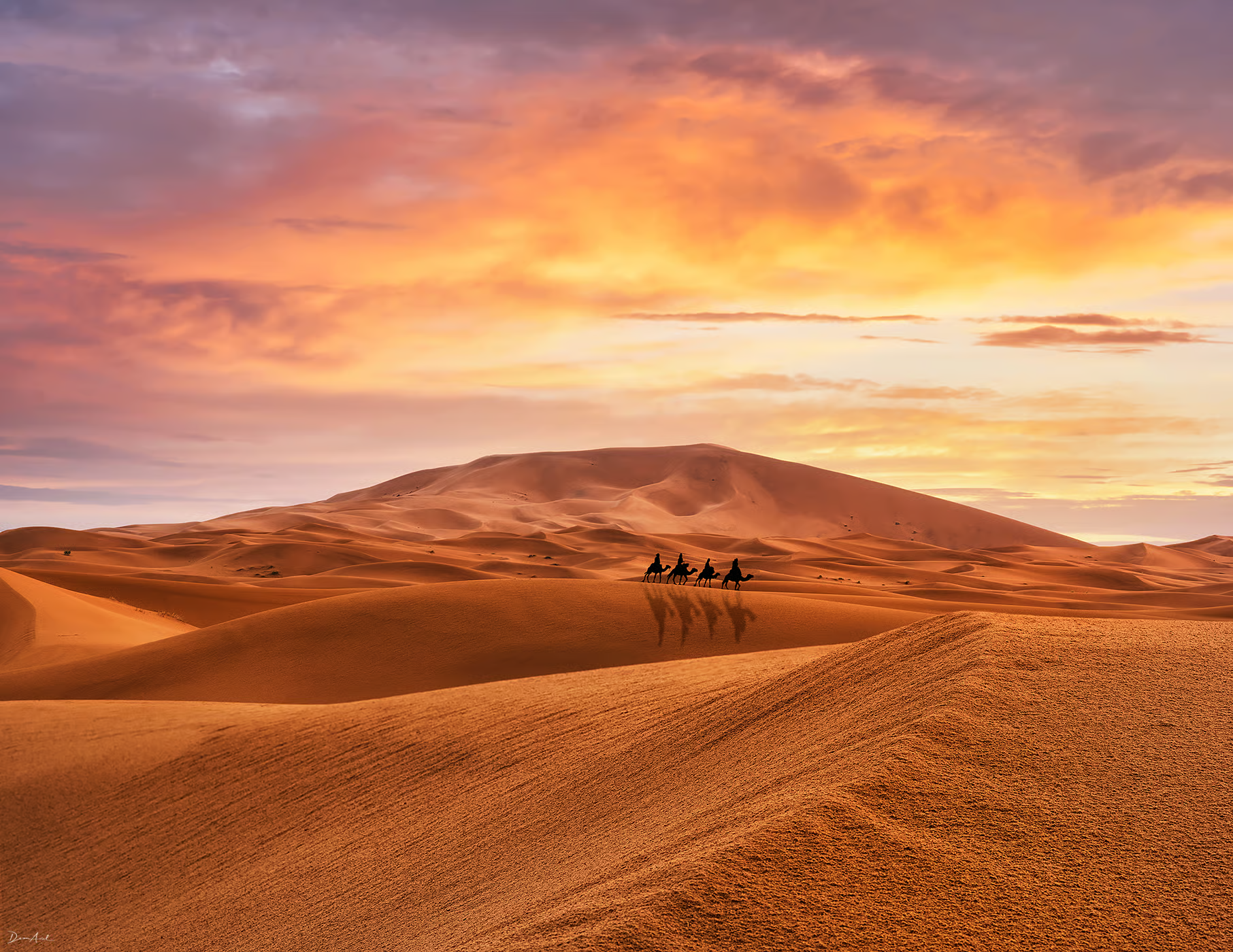 Sahara dunes and camel riders at sunset