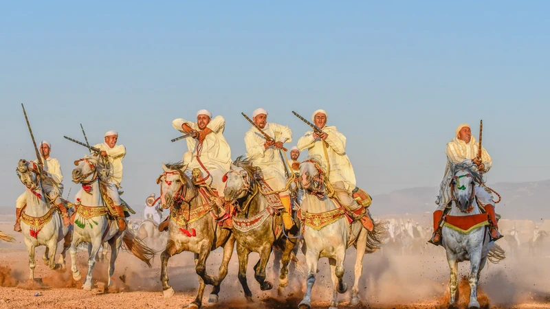A formation of riders and decorated horses on open ground