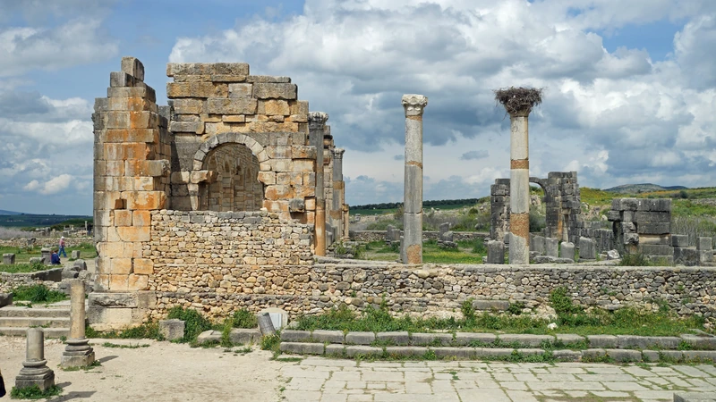 The basilica remains at Volubilis, with columns and the surrounding landscape.