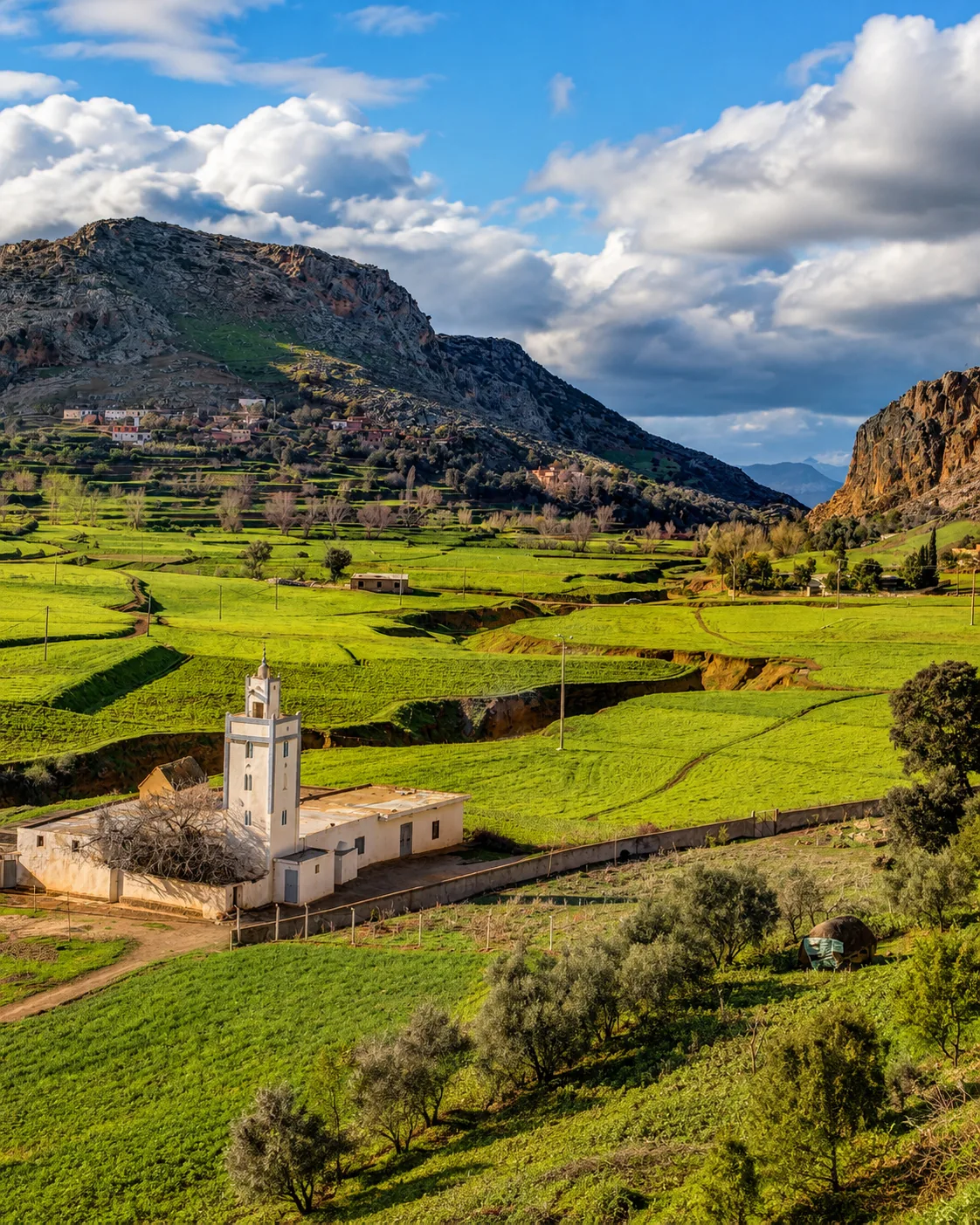 Hill landscape