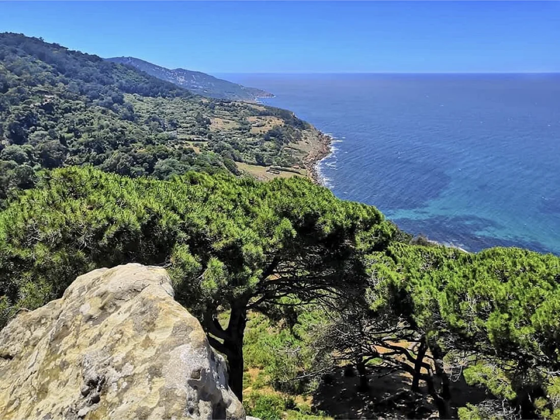 Rmilat coast