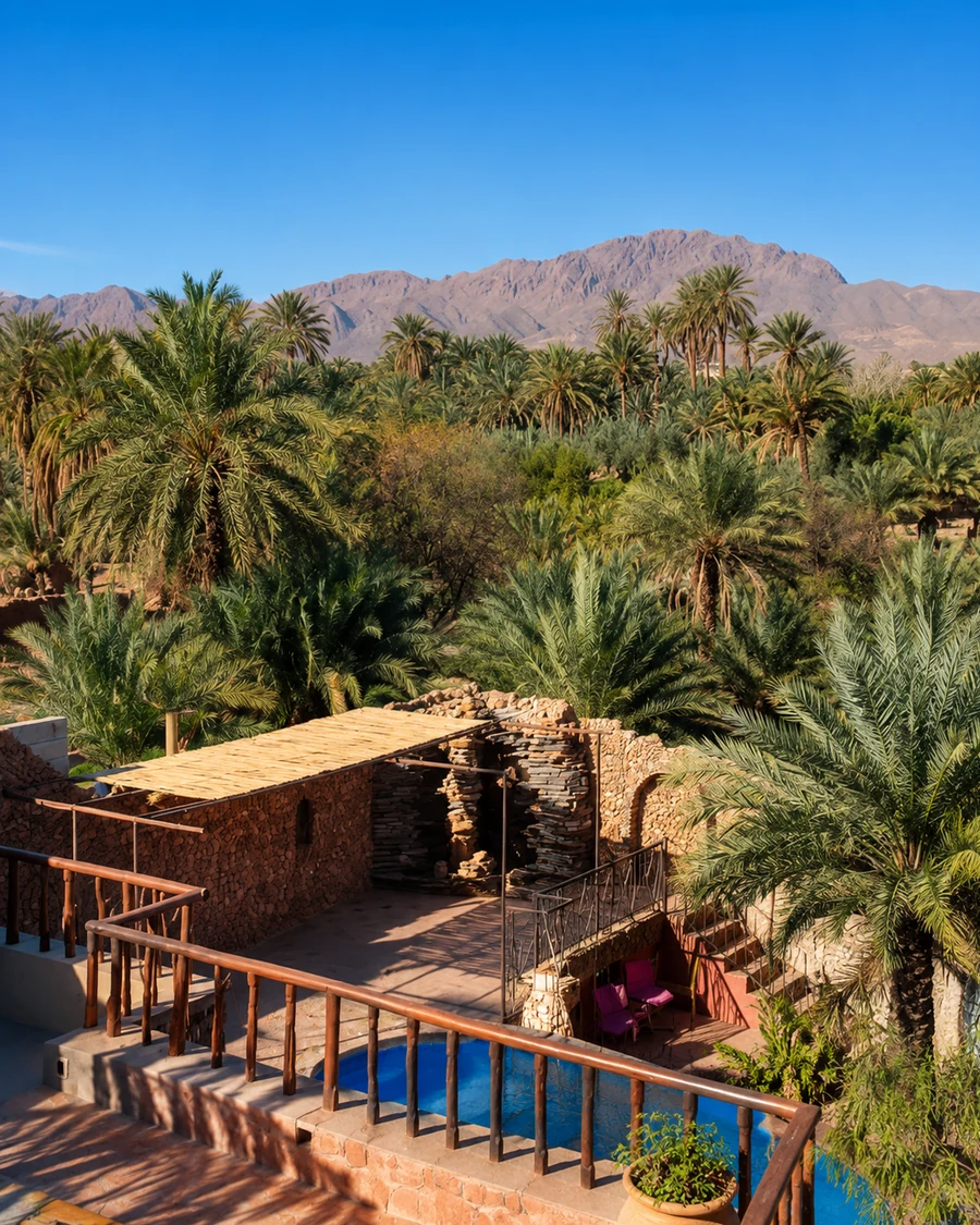 Figuig Palm Oasis
