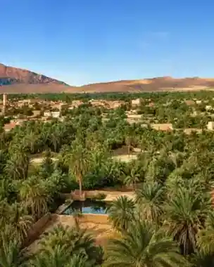 Eastern oasis routes visual language image