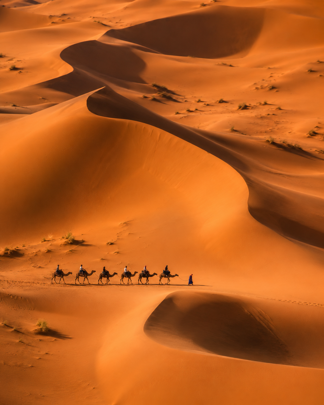 Oases & dunes