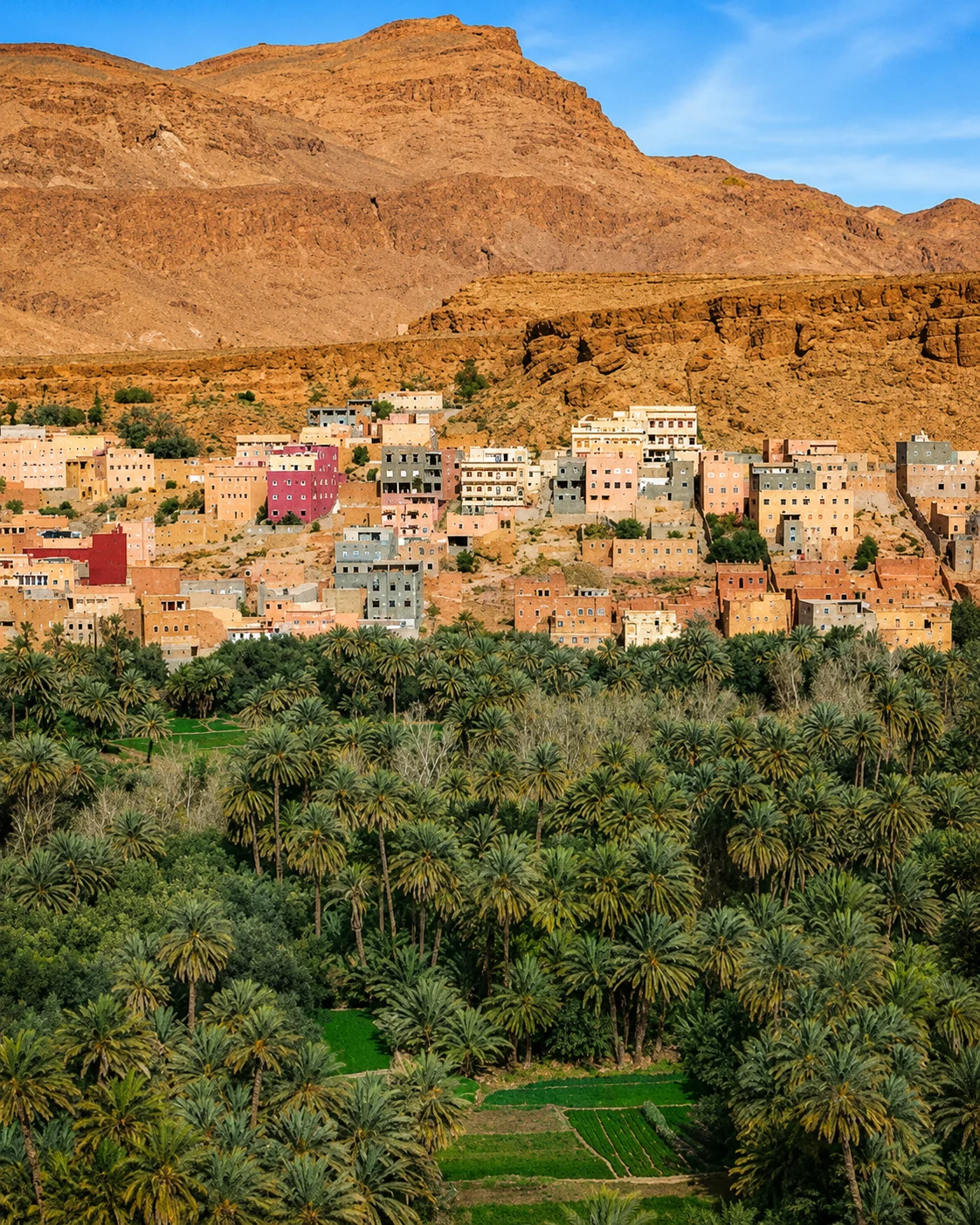 Tinghir — Todra Palms &amp; Gorge Landscapes — Todra oasis
