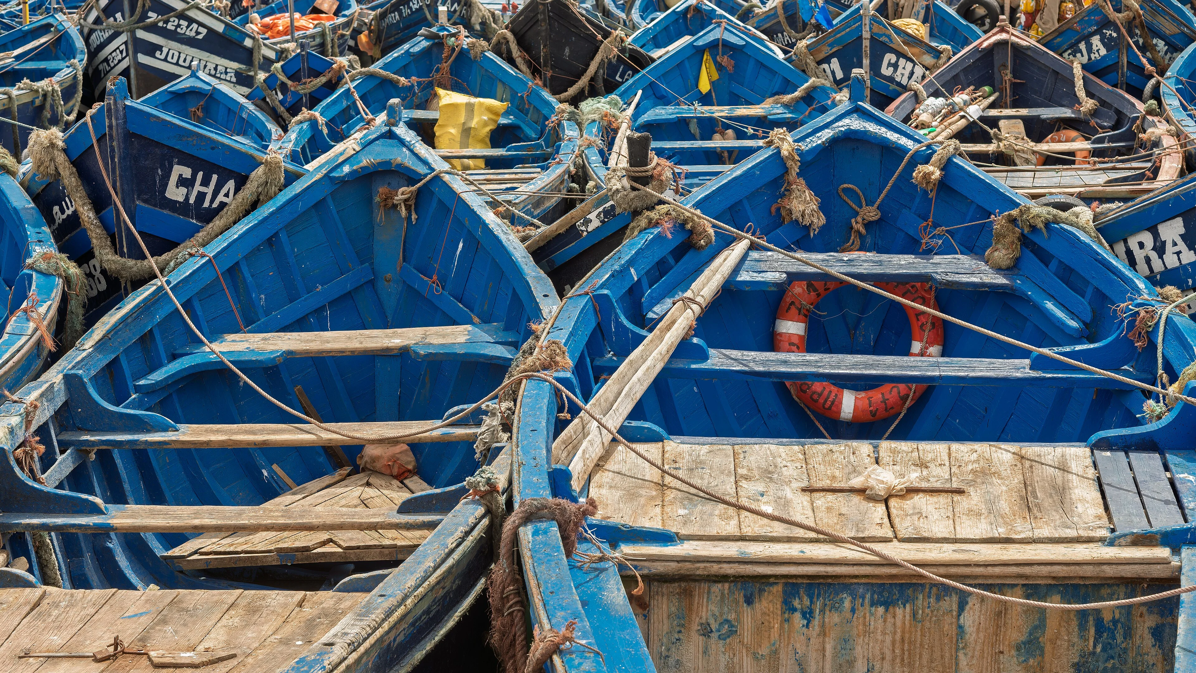 Coastal Cities & Ports