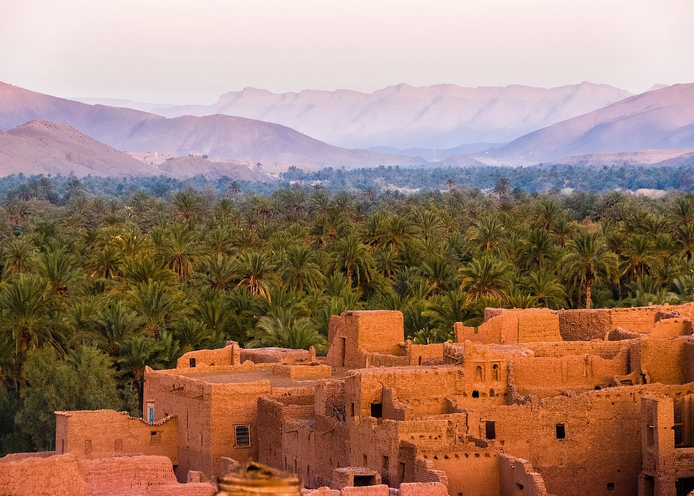An oasis in the Draa Valley near Ouarzazate.