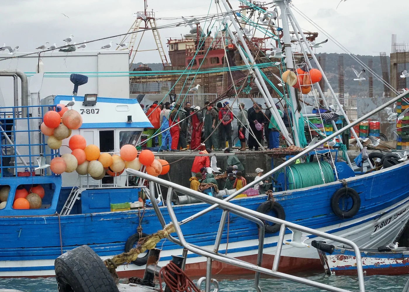 Fishing boats in Essaouira, on Morocco’s Atlantic coast.