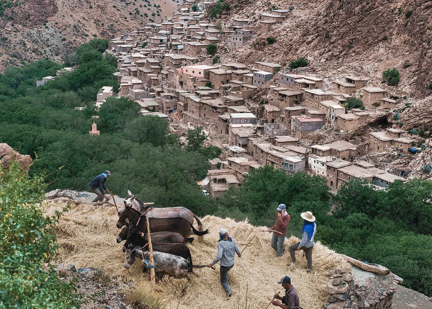 Grain threshing in a High Atlas village.