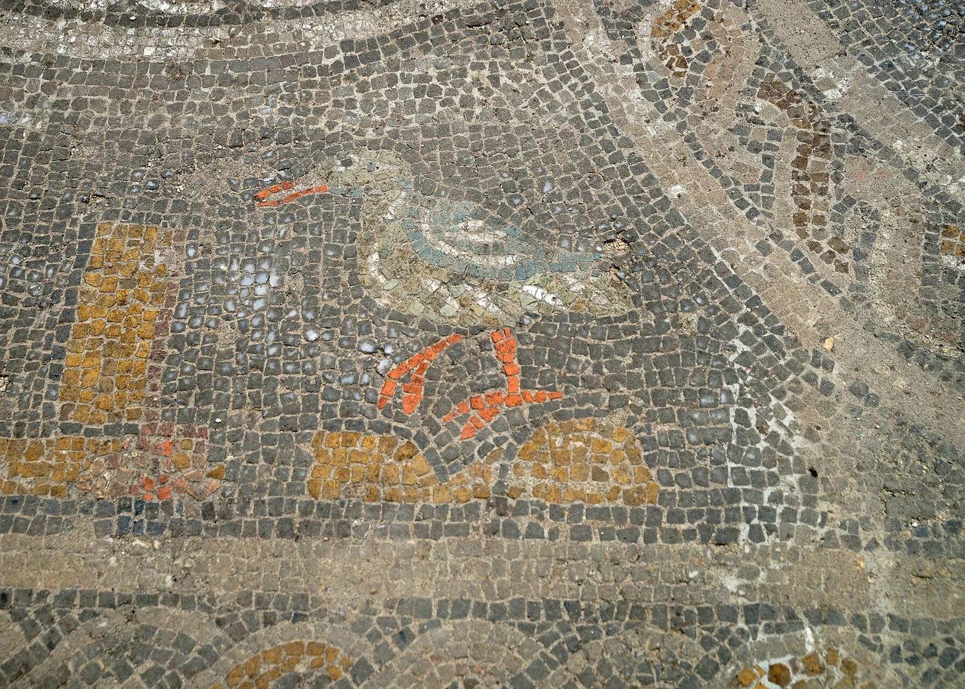 A surviving floor mosaic at Volubilis.