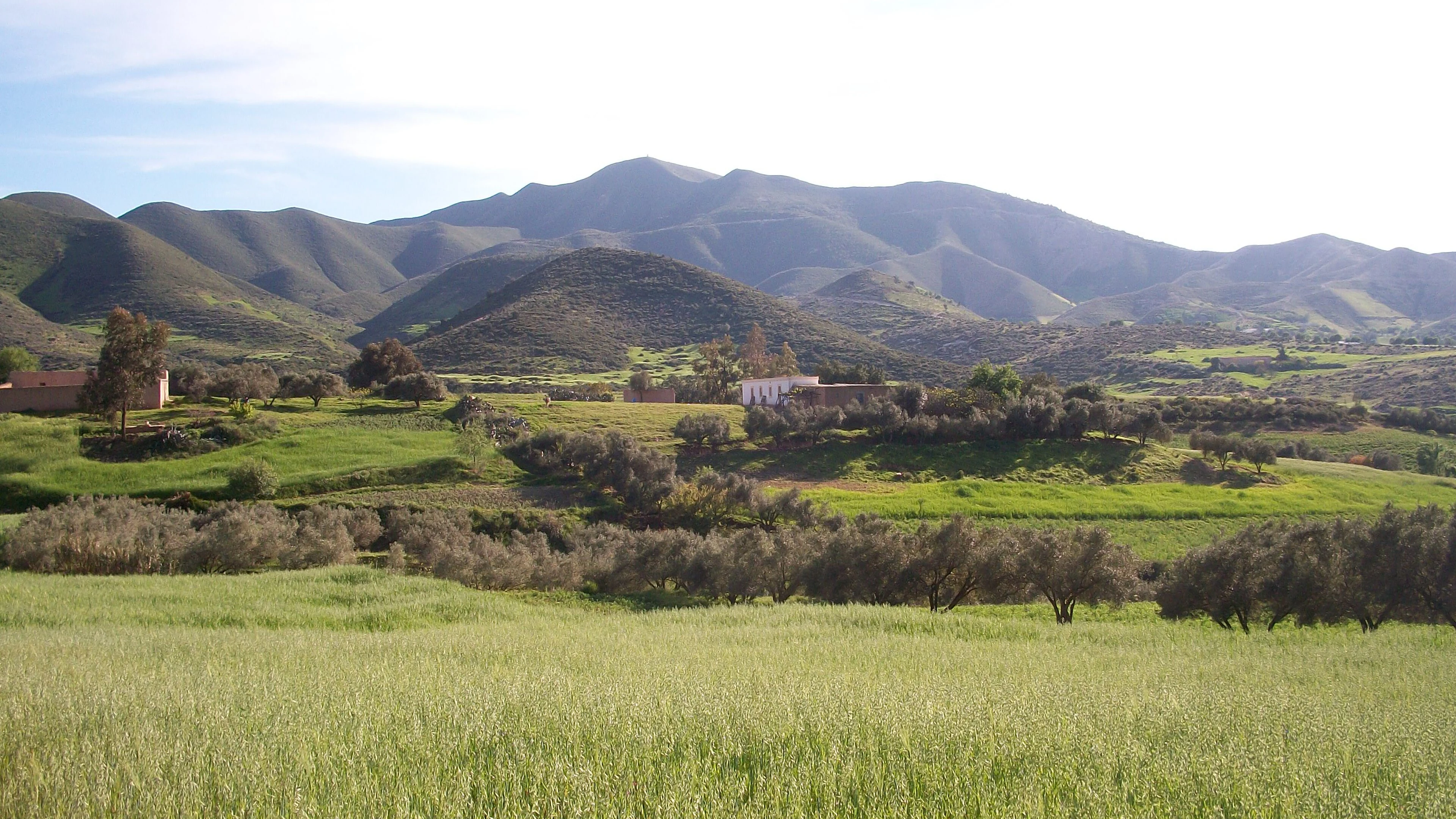 Spring fields and mountains in the Rif near Nador: a landscape name crosses administrative distinctions.