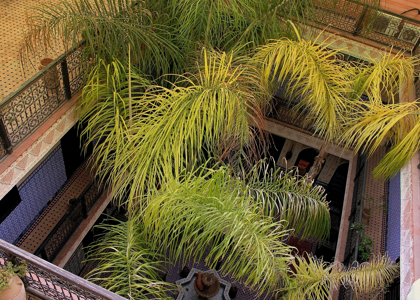 Planting at Riad Lalla Khiti, Marrakech, photographed in 2013.