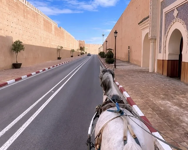 Meknès — city or landscape context from the Exotic Morocco collection.
