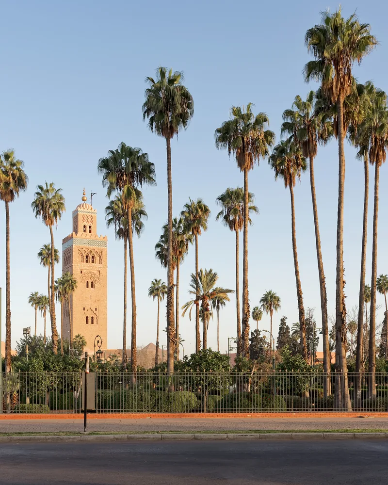 Koutoubia minaret and palms in Marrakech.