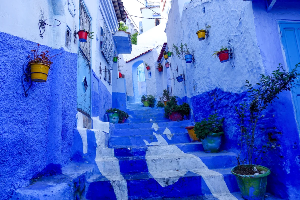 Blue walls, steps and potted plants in a Chefchaouen lane