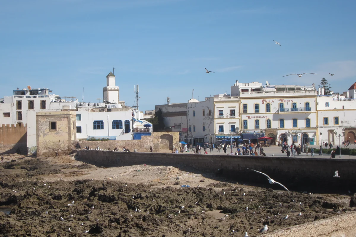 White buildings along the sea-facing edge of Essaouira