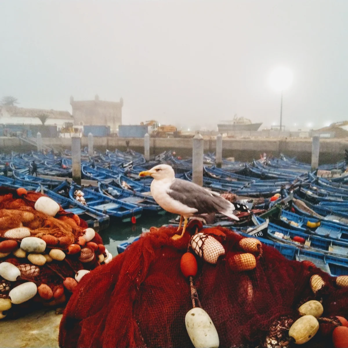 Working boats and fishing equipment keep Essaouira connected to its everyday port life.