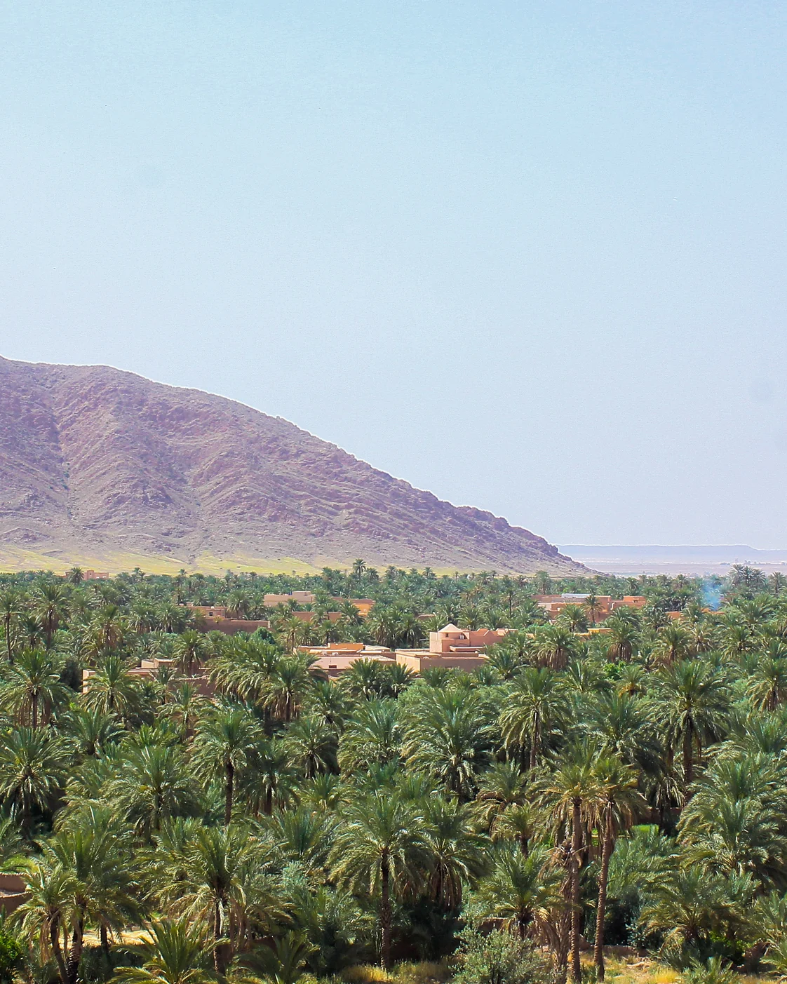 The palm landscape of Figuig belongs to a separate, carefully planned inland chapter.