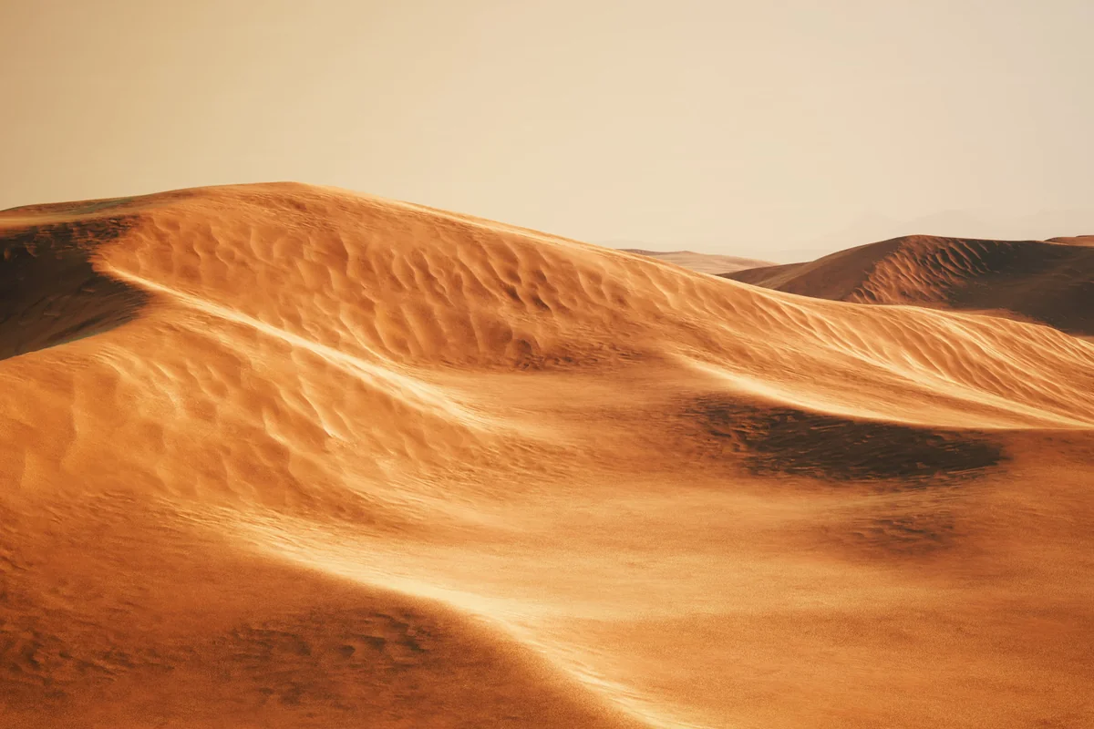 Fine ripples and curved ridges in the dunes near Merzouga
