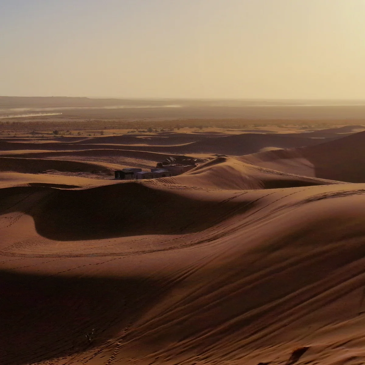 Open dunes are one chapter of a much wider southern landscape.