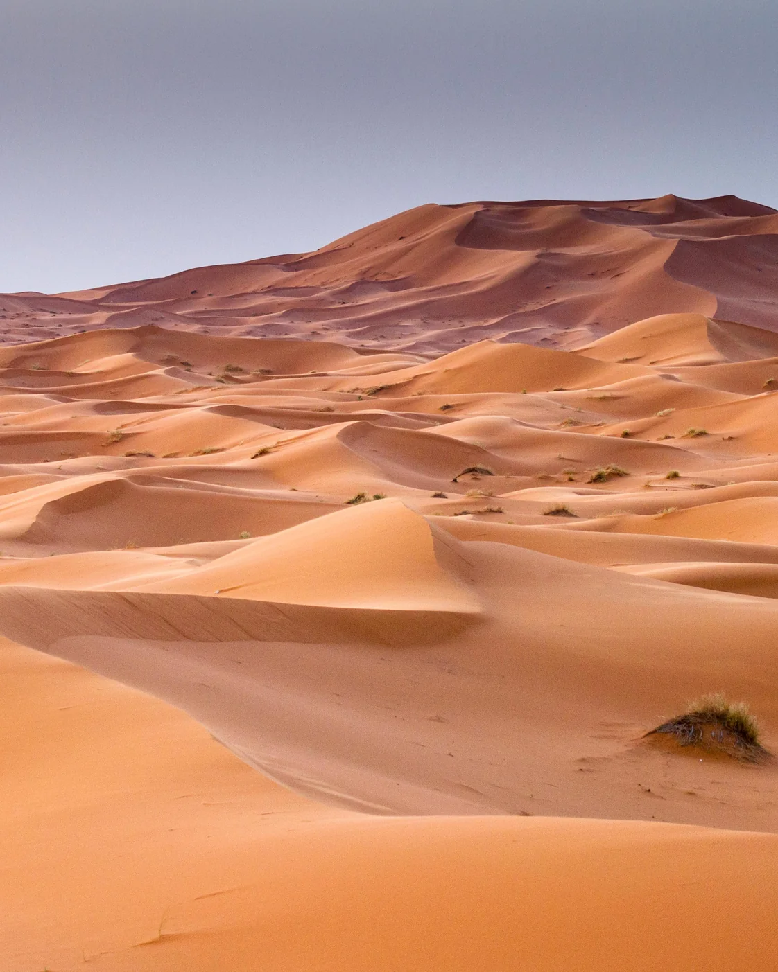 The dunes deserve time at both ends of the stay, not just a sunset arrival.