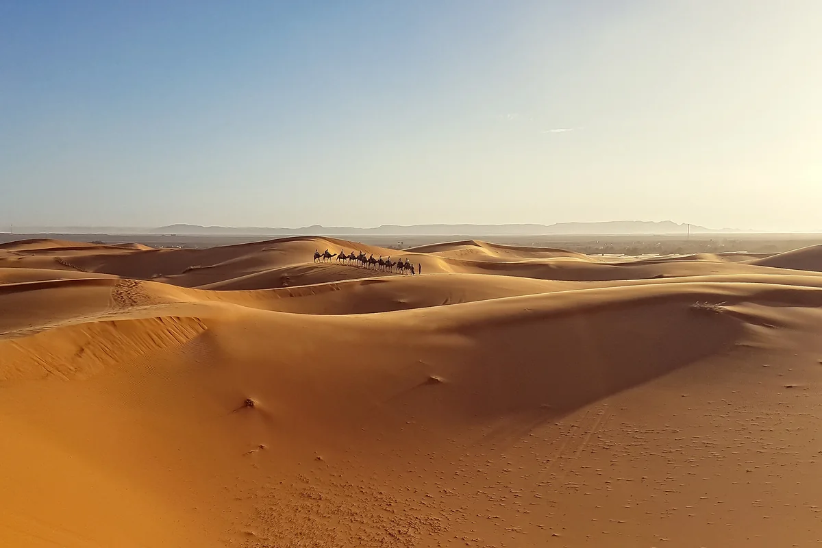 Long dune ridges beneath the low sun in the Moroccan Sahara