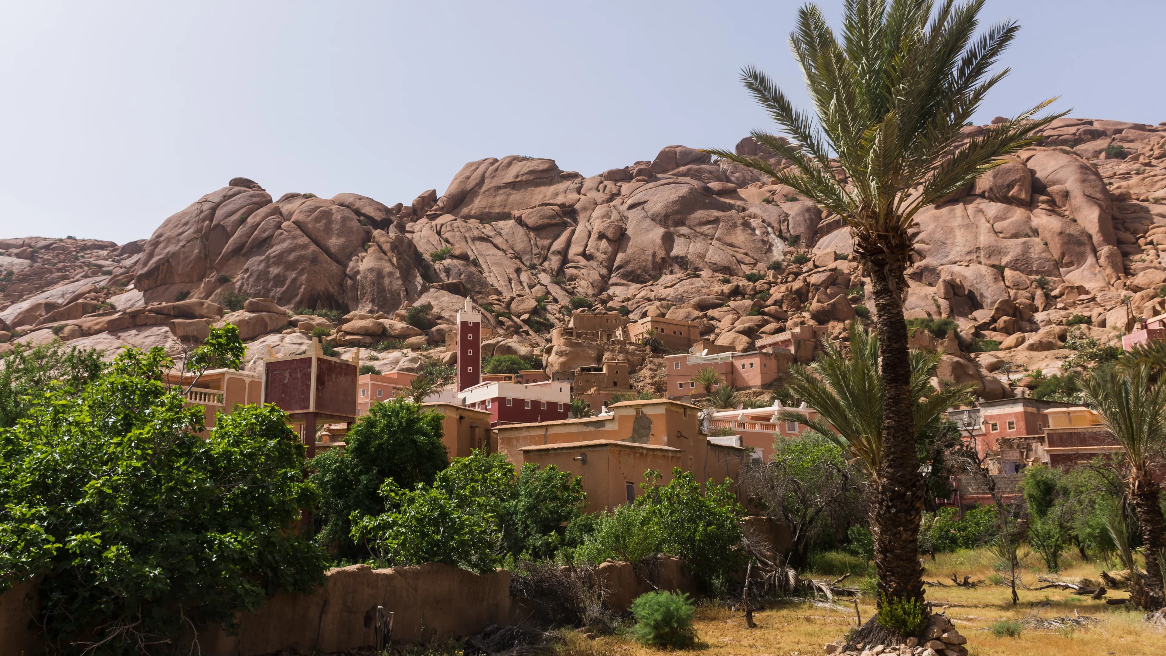 Palm trees and granite boulders in the Tafraout area