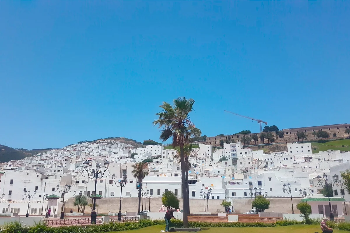 White buildings and a palm tree beside Tetouan's open square