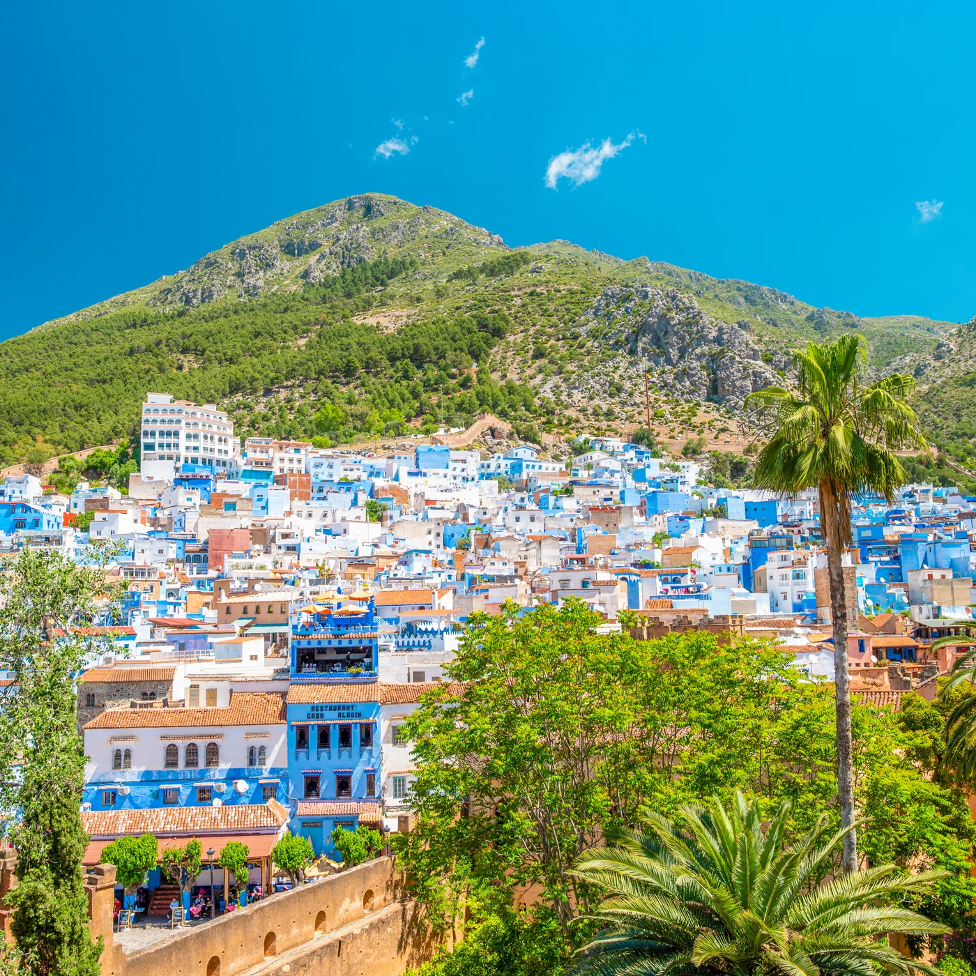 Chefchaouen’s buildings and trees gathered below the Rif mountains.