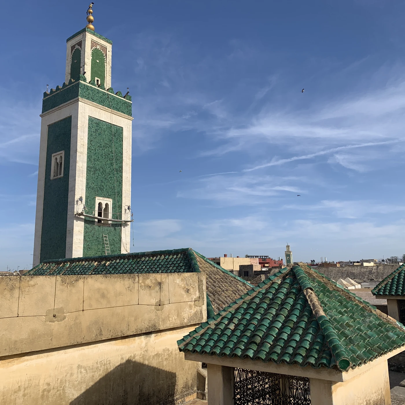 The green-tiled minaret of the Grand Mosque above roofs in Meknès.