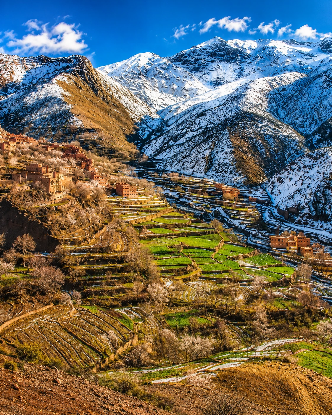 Terraced High Atlas slopes around Azilal province