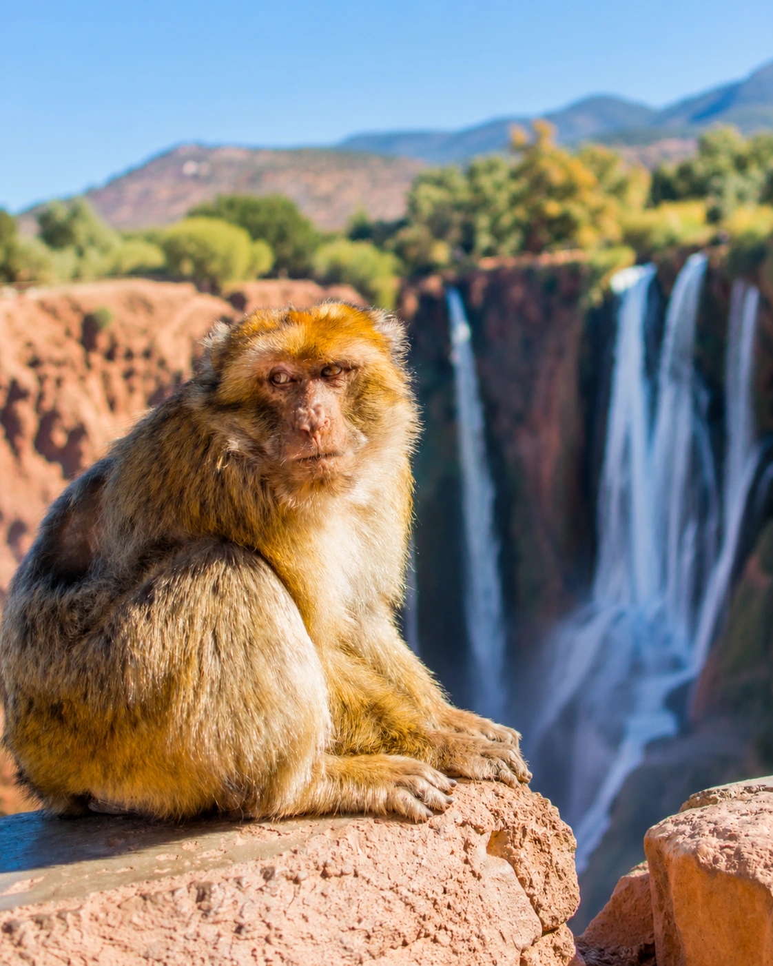 Ouzoud nature stop with waterfalls near Azilal