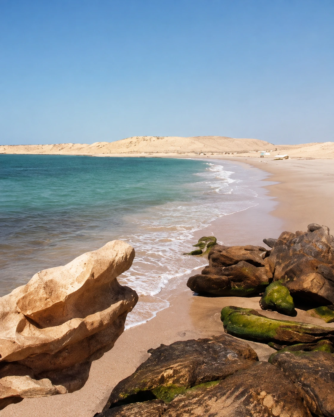Illustrative oyster park and seafood culture in Dakhla