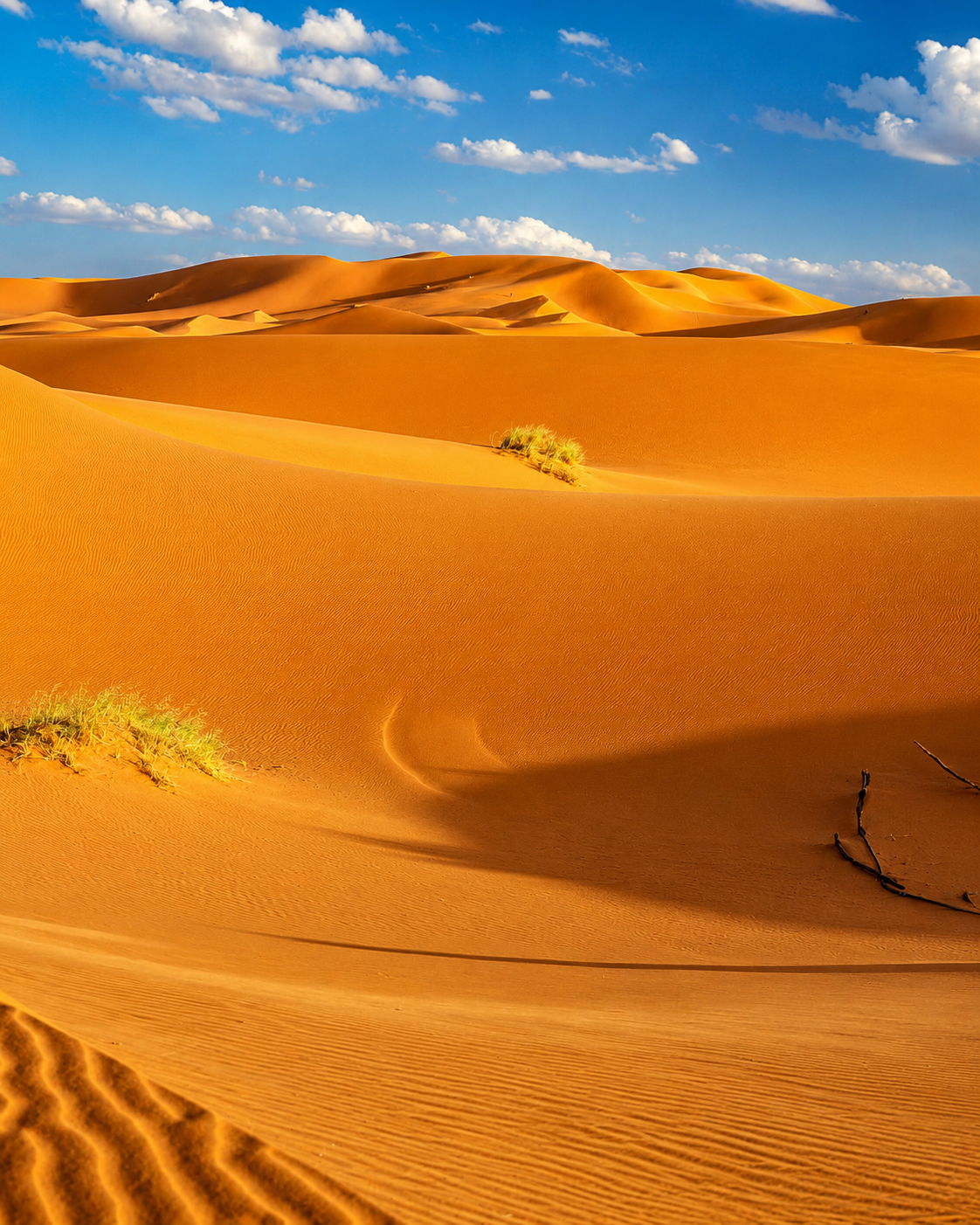 Golden Erg Chebbi dunes near Merzouga under a blue sky