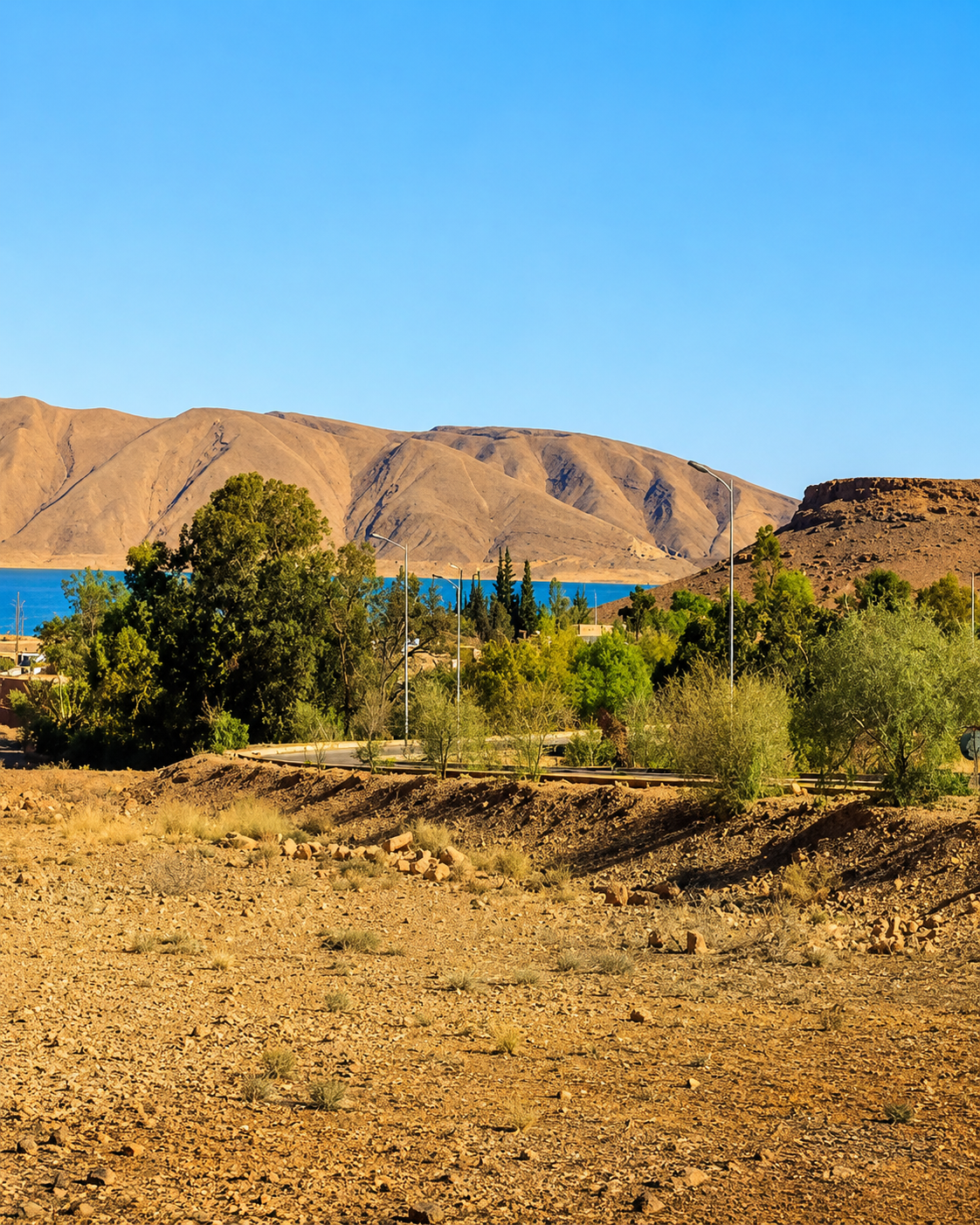 Reservoir and vegetation in the dry landscape near Errachidia